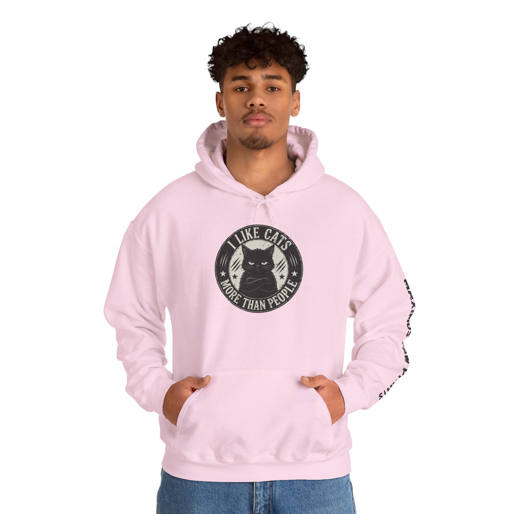 I Like Cats More Than People Hoodie | Funny Cat Lover Sweatshirt | Cat Mom Gift