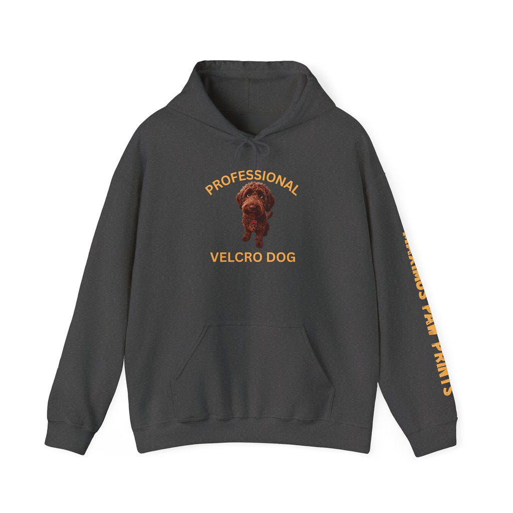 Professional Velcro Dog Hoodie | Funny Doodle Owner Sweatshirt | Doodle Mom Dad Gift