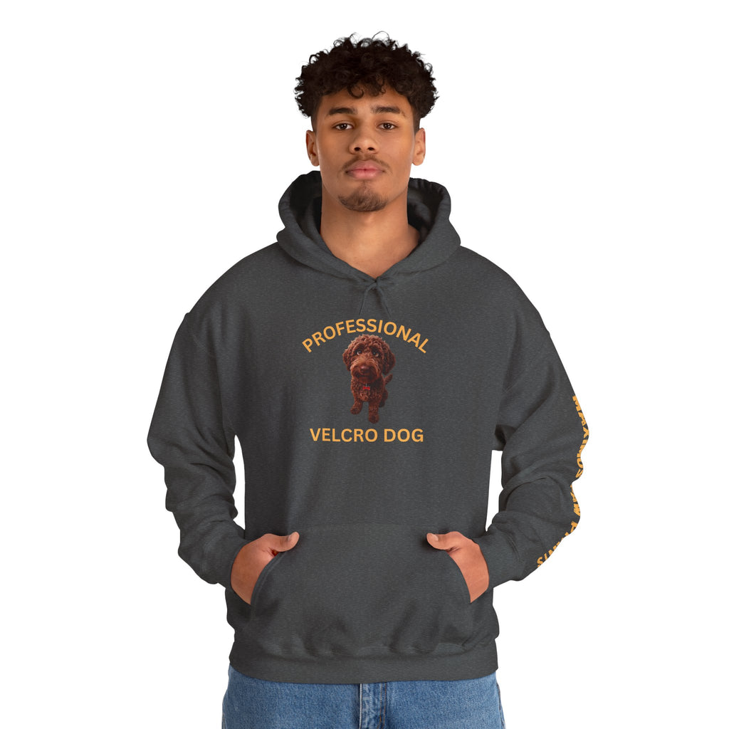 Professional Velcro Dog Hoodie | Funny Doodle Owner Sweatshirt | Doodle Mom Dad Gift