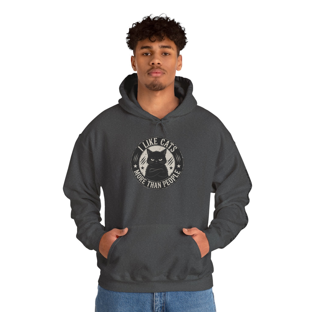 I Like Cats More Than People Hoodie | Funny Cat Lover Sweatshirt | Cat Mom Gift