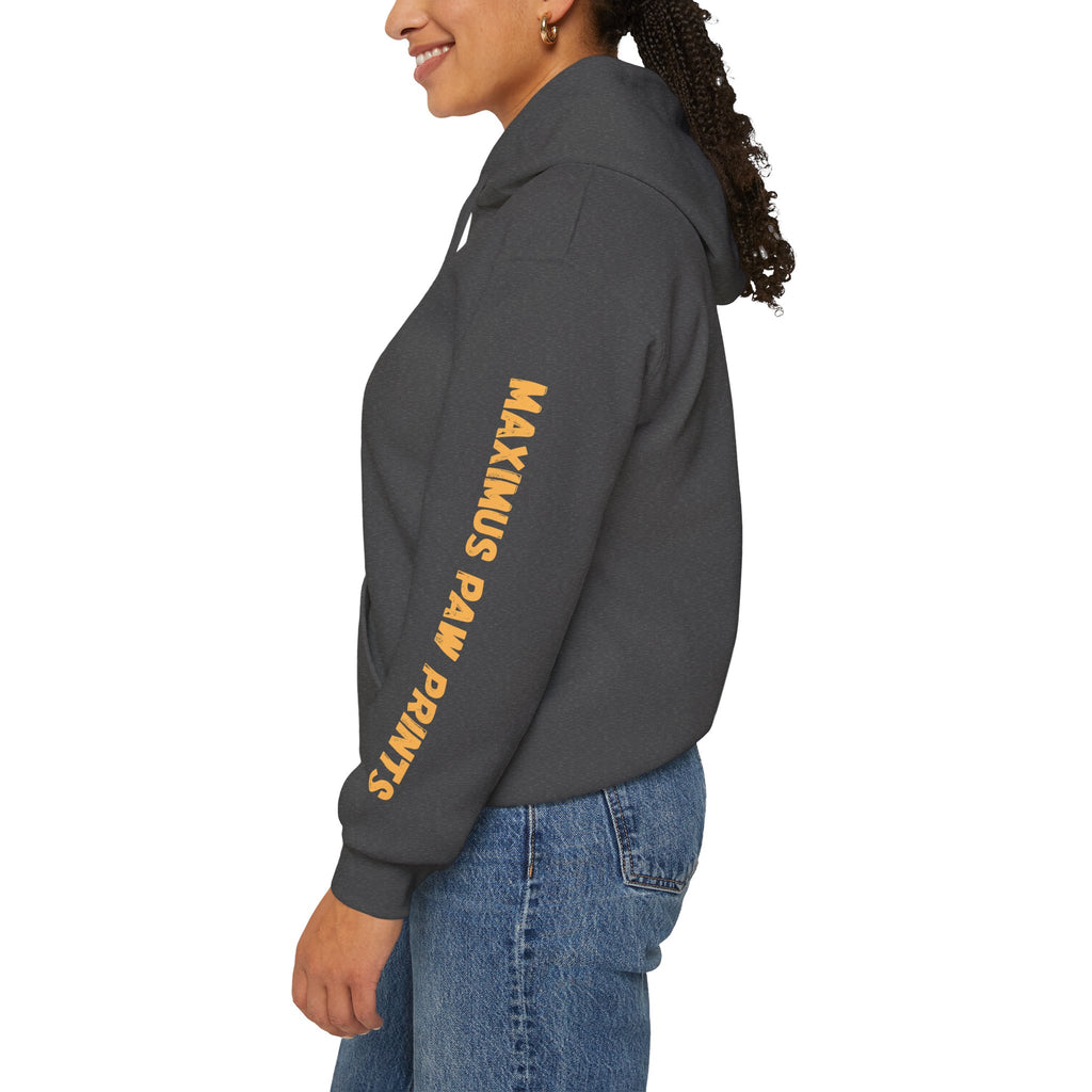 Professional Velcro Dog Hoodie | Funny Doodle Owner Sweatshirt | Doodle Mom Dad Gift