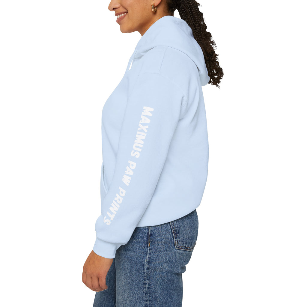 This Human Belongs To Me Hoodie | Funny Pet Lover Sweatshirt | Dog Mom Cat Mom Gift