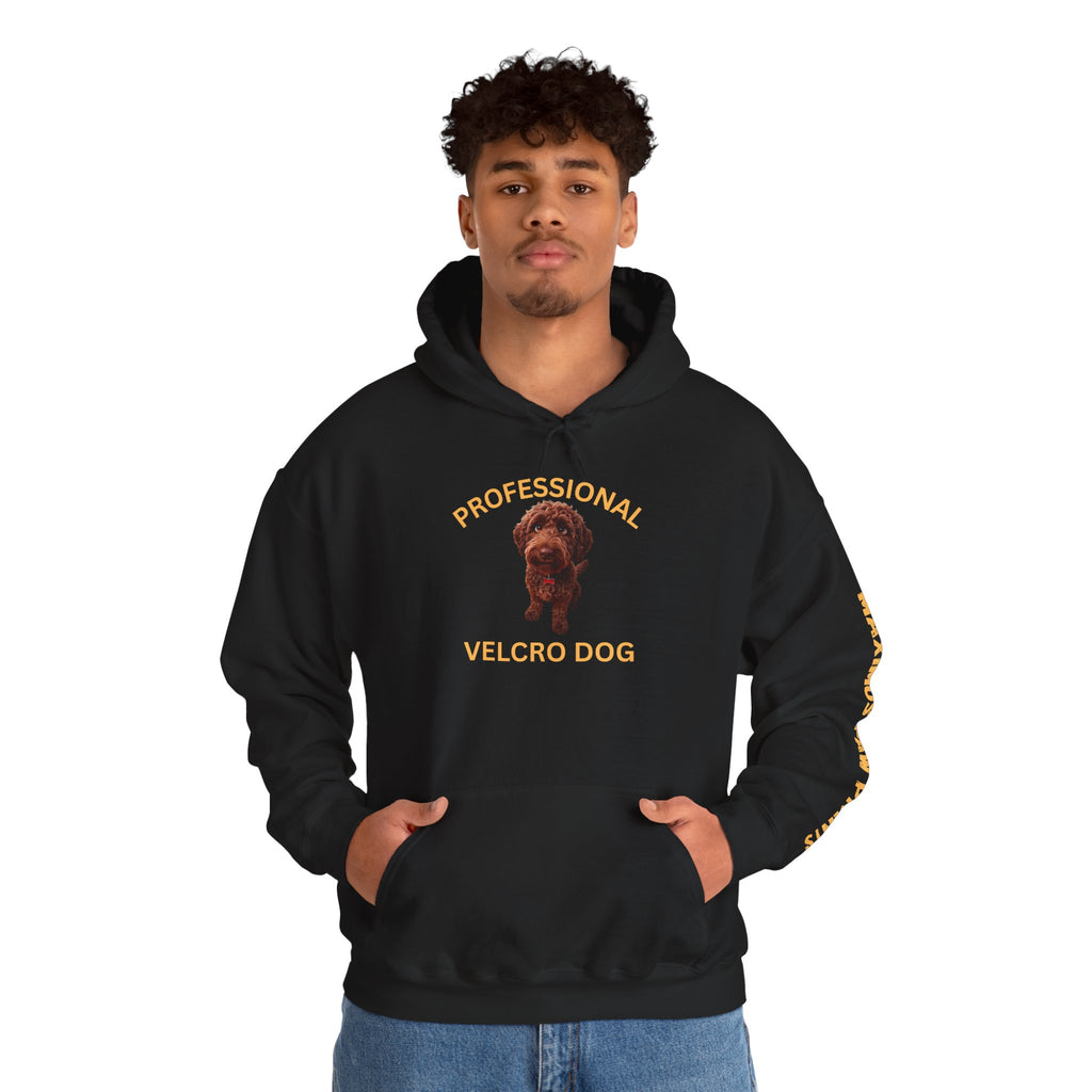 Professional Velcro Dog black hoodie with golden doodle portrait
and gold lettering, funny doodle mom sweatshirt and doodle owner gift