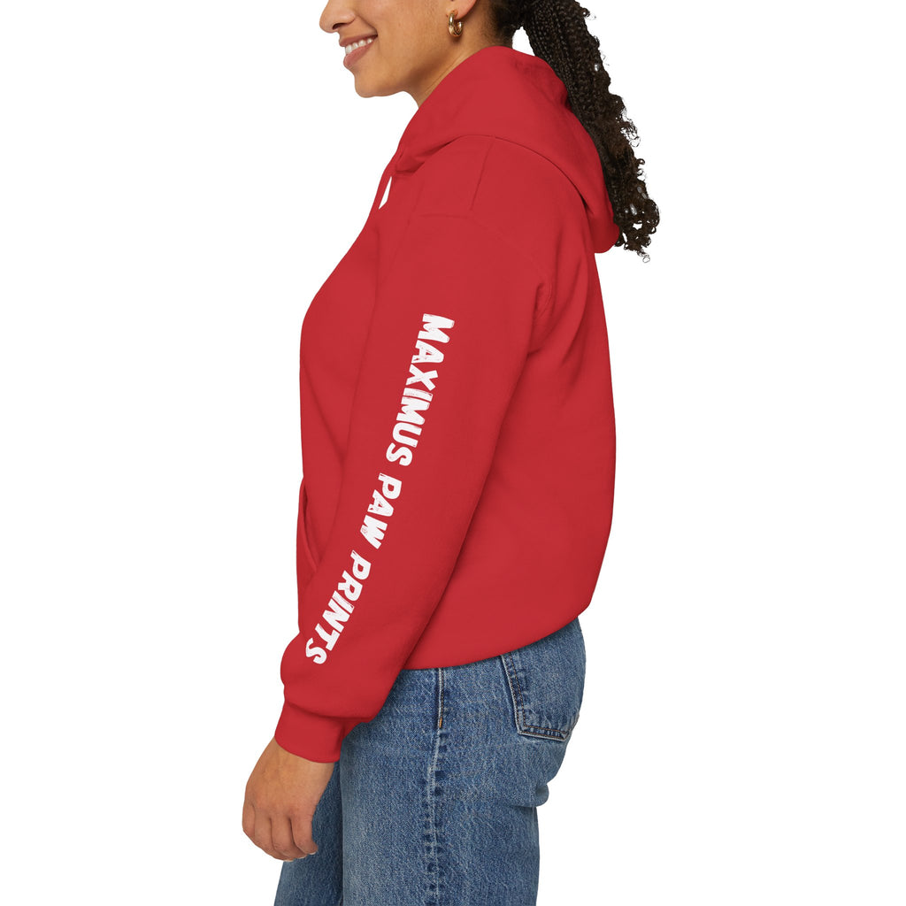 This Human Belongs To Me Hoodie | Funny Pet Lover Sweatshirt | Dog Mom Cat Mom Gift