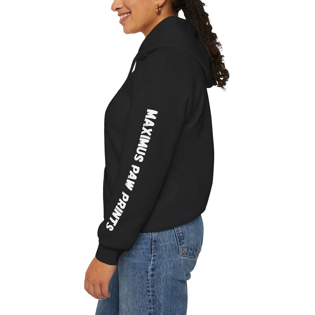 This Human Belongs To Me Hoodie | Funny Pet Lover Sweatshirt | Dog Mom Cat Mom Gift